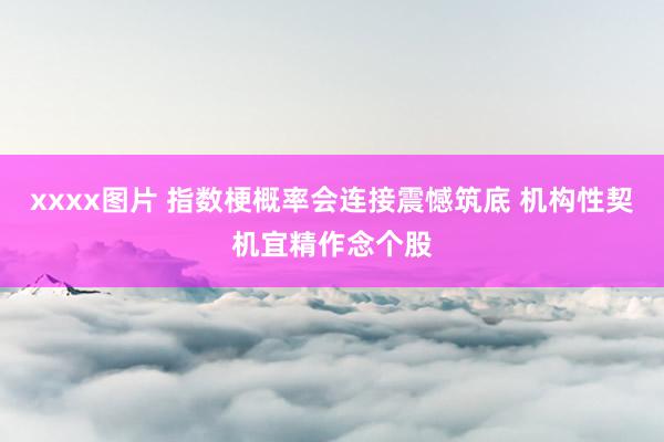 xxxx图片 指数梗概率会连接震憾筑底 机构性契机宜精作念个股