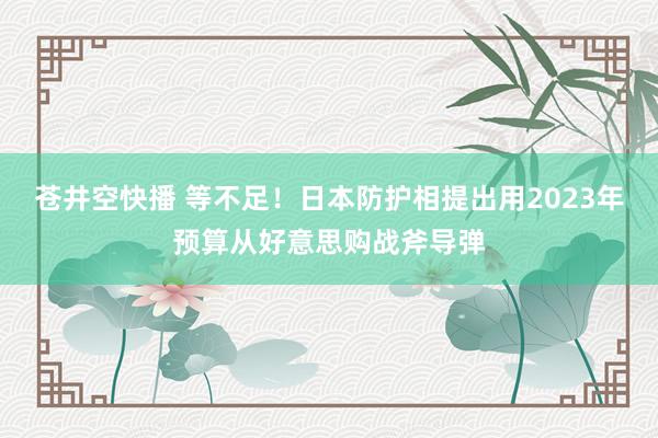 苍井空快播 等不足！日本防护相提出用2023年预算从好意思购战斧导弹