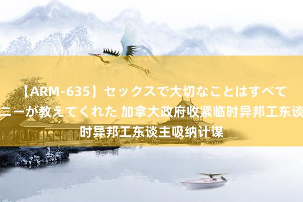 【ARM-635】セックスで大切なことはすべて君とのオナニーが教えてくれた 加拿大政府收紧临时异邦工东谈主吸纳计谋