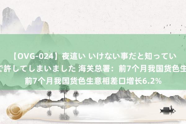 【OVG-024】夜這い いけない事だと知っていたけど生中出しまで許してしまいました 海关总署：前7个月我国货色生意相差口增长6.2%