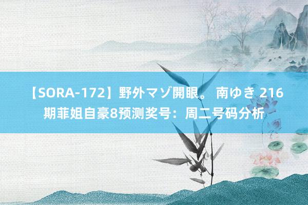 【SORA-172】野外マゾ開眼。 南ゆき 216期菲姐自豪8预测奖号：周二号码分析