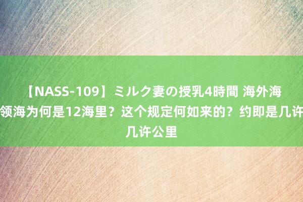 【NASS-109】ミルク妻の授乳4時間 海外海岸线领海为何是12海里？这个规定何如来的？约即是几许公里