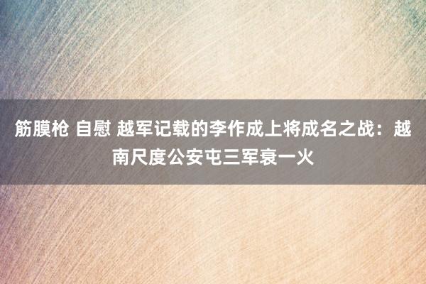 筋膜枪 自慰 越军记载的李作成上将成名之战：越南尺度公安屯三军衰一火