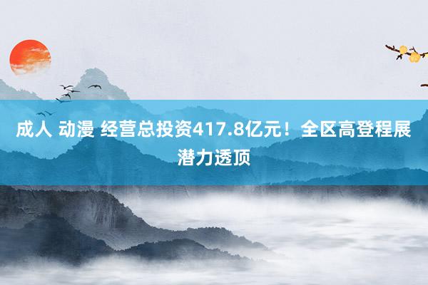 成人 动漫 经营总投资417.8亿元！全区高登程展潜力透顶