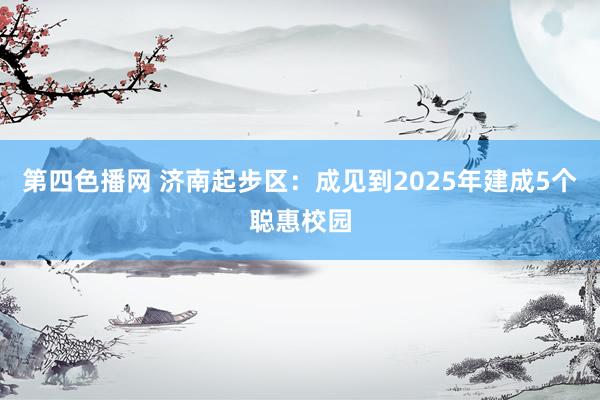 第四色播网 济南起步区：成见到2025年建成5个聪惠校园