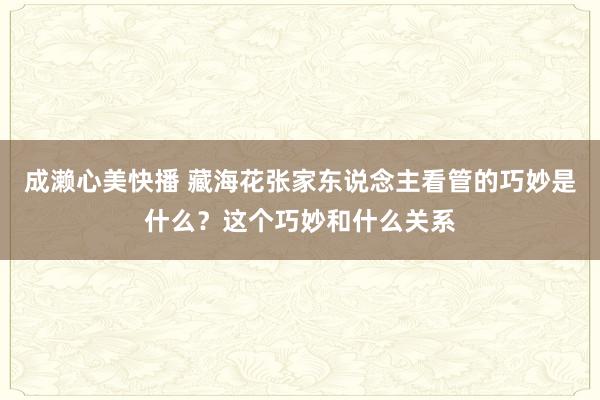 成濑心美快播 藏海花张家东说念主看管的巧妙是什么？这个巧妙和什么关系