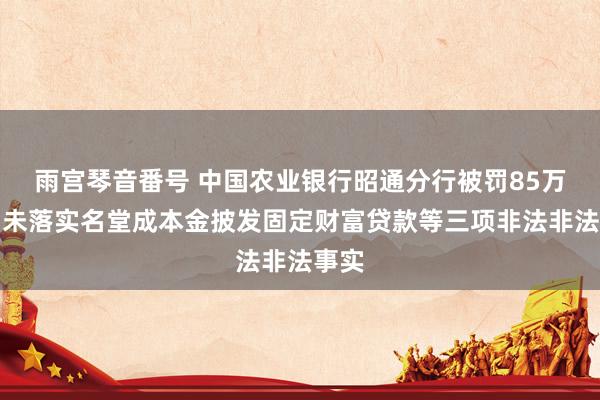 雨宫琴音番号 中国农业银行昭通分行被罚85万：因未落实名堂成本金披发固定财富贷款等三项非法非法事实