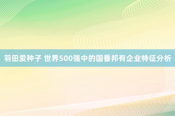 羽田爱种子 世界500强中的国番邦有企业特征分析