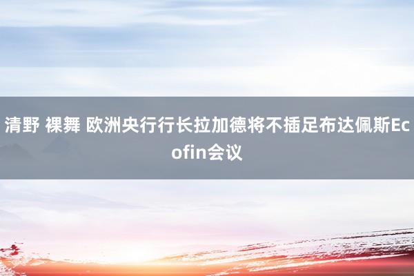 清野 裸舞 欧洲央行行长拉加德将不插足布达佩斯Ecofin会议