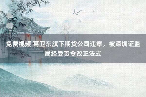 免费视频 葛卫东旗下期货公司违章，被深圳证监局经受责令改正法式