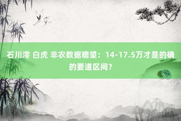 石川澪 白虎 非农数据瞻望：14-17.5万才是的确的要道区间？