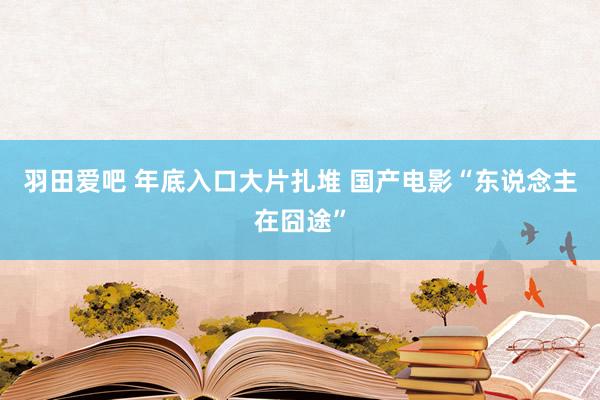 羽田爱吧 年底入口大片扎堆 国产电影“东说念主在囧途”