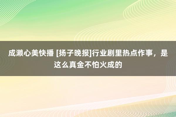 成濑心美快播 [扬子晚报]行业剧里热点作事，是这么真金不怕火成的