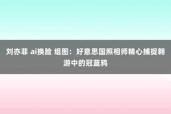 刘亦菲 ai换脸 组图：好意思国照相师精心捕捉翱游中的冠蓝鸦